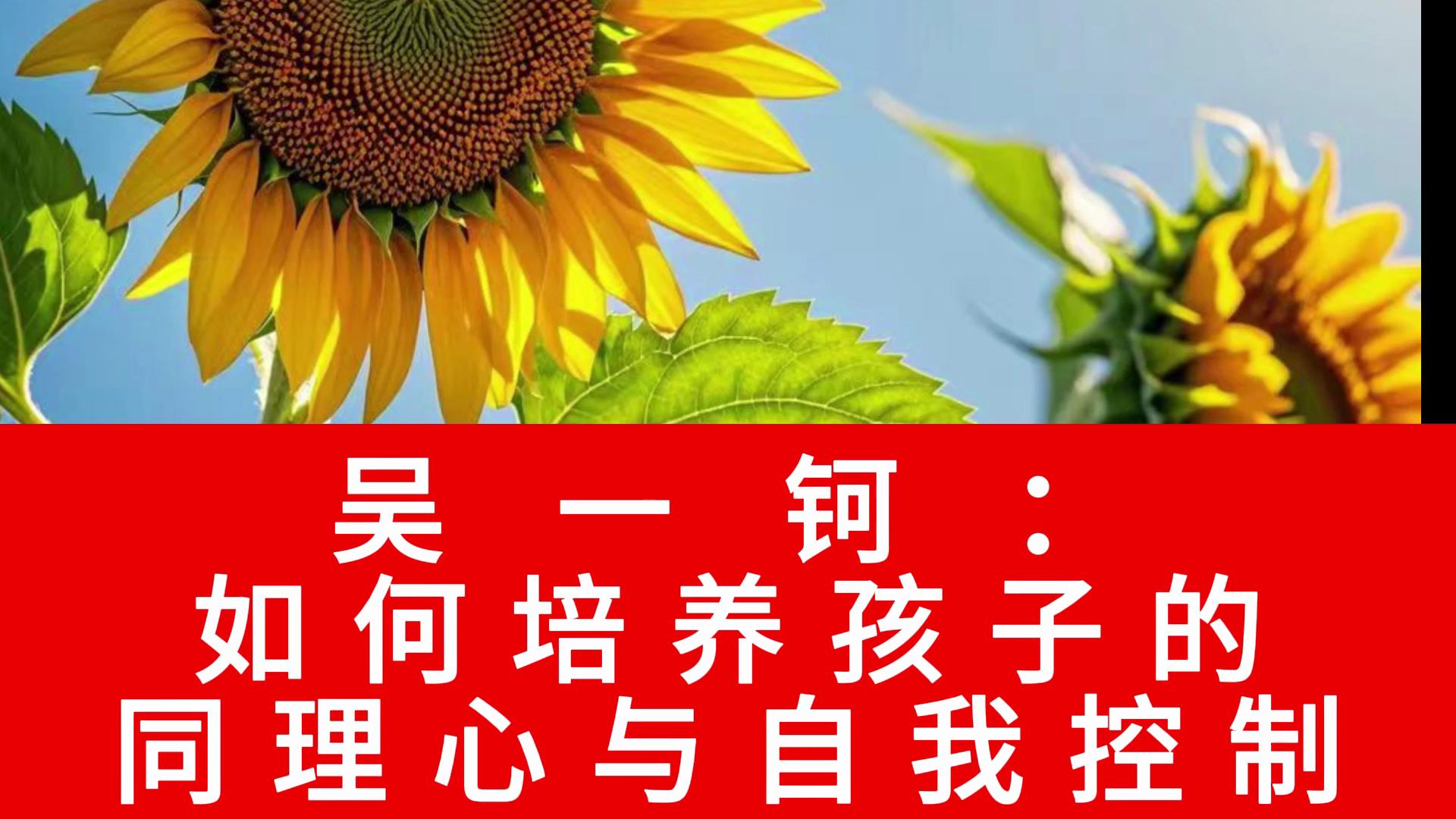 SEO关键词标记术！YJBB工程师潜规则